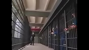 Group Sex In A Prison Setting