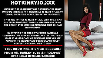 Beowulf'S Extreme Dildo Penetration And Prolapse In Mr. Hankey'S Toys